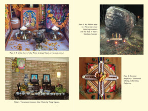 Ancestral Medicine: Rituals for Personal and Family Healing