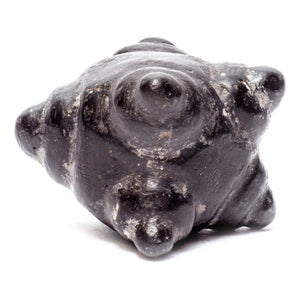 Meteorite Chumpi Stone Set - 12 Piece - Large