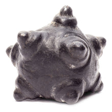 Load image into Gallery viewer, Meteorite Chumpi Stone Set - 12 Piece - Large
