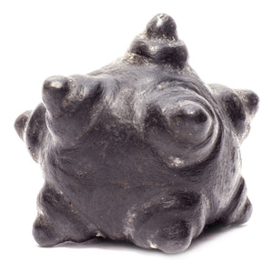 Meteorite Chumpi Stone Set - 12 Piece - Large