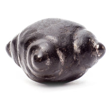 Load image into Gallery viewer, Meteorite Chumpi Stone Set - 12 Piece - Large
