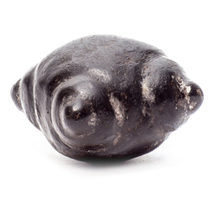 Meteorite Chumpi Stone Set - 12 Piece - Large