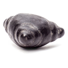 Load image into Gallery viewer, Meteorite Chumpi Stone Set - 12 Piece - Large
