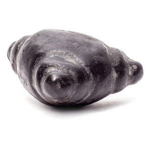 Meteorite Chumpi Stone Set - 12 Piece - Large